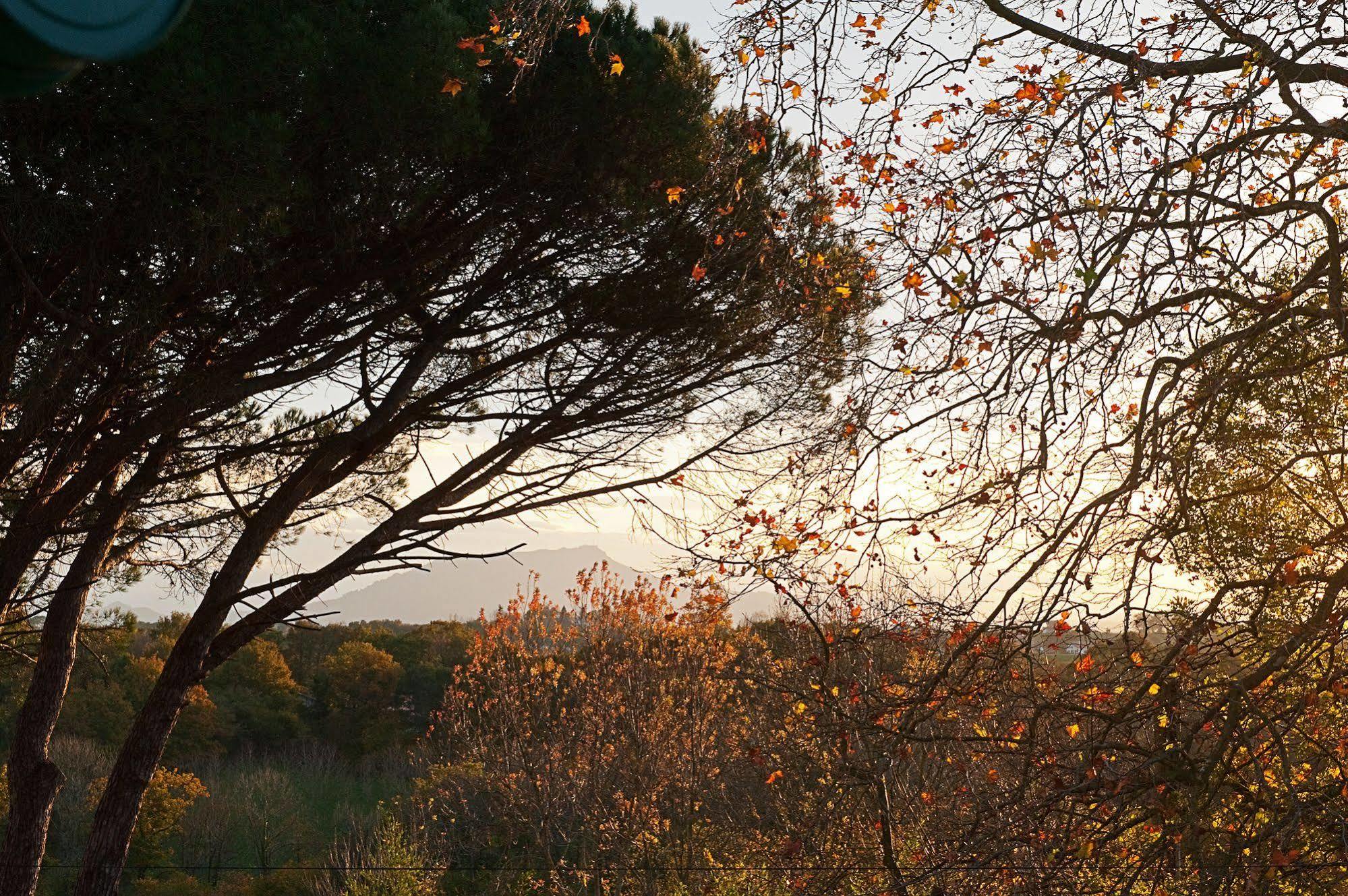 Bed and Breakfast Iparra Arcangues Esterno foto